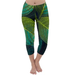 Green Plant Leaf Foliage Nature Capri Winter Leggings  by Nexatart