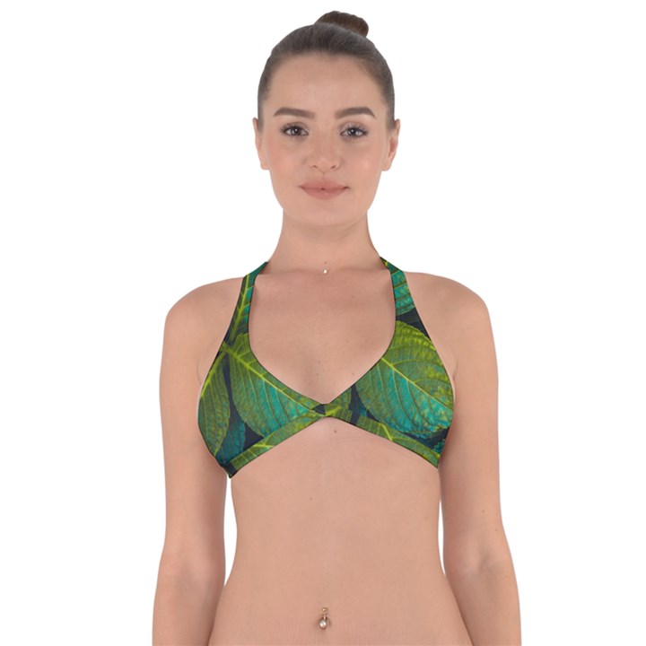 Green Plant Leaf Foliage Nature Halter Neck Bikini Top