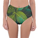 Green Plant Leaf Foliage Nature Reversible High-Waist Bikini Bottoms View3