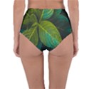 Green Plant Leaf Foliage Nature Reversible High-Waist Bikini Bottoms View4