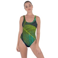 Green Plant Leaf Foliage Nature Bring Sexy Back Swimsuit by Nexatart