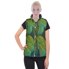 Green Plant Leaf Foliage Nature Women s Button Up Puffer Vest