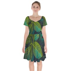 Green Plant Leaf Foliage Nature Short Sleeve Bardot Dress by Nexatart