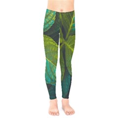 Green Plant Leaf Foliage Nature Kids  Legging by Nexatart