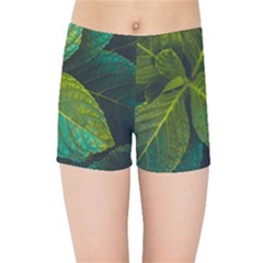 Green Plant Leaf Foliage Nature Kids Sports Shorts by Nexatart