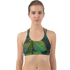 Green Plant Leaf Foliage Nature Back Web Sports Bra