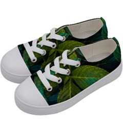 Green Plant Leaf Foliage Nature Kids  Low Top Canvas Sneakers by Nexatart