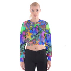 Star Abstract Colorful Fireworks Cropped Sweatshirt