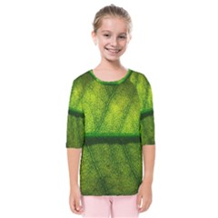 Leaf Nature Green The Leaves Kids  Quarter Sleeve Raglan Tee