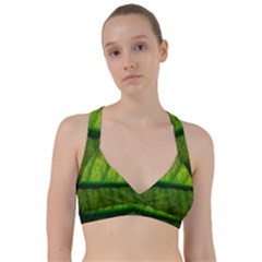 Leaf Nature Green The Leaves Sweetheart Sports Bra