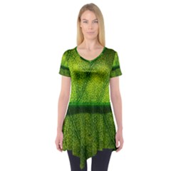 Leaf Nature Green The Leaves Short Sleeve Tunic  by Nexatart