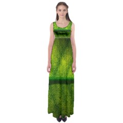 Leaf Nature Green The Leaves Empire Waist Maxi Dress by Nexatart