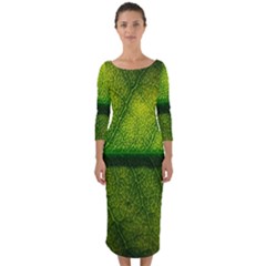 Leaf Nature Green The Leaves Quarter Sleeve Midi Bodycon Dress