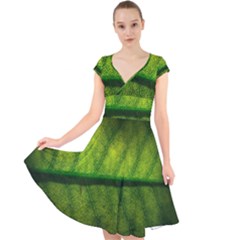 Leaf Nature Green The Leaves Cap Sleeve Front Wrap Midi Dress