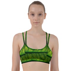 Leaf Nature Green The Leaves Line Them Up Sports Bra