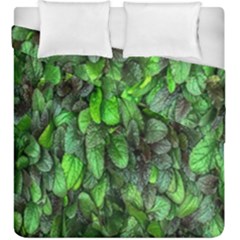 The Leaves Plants Hwalyeob Nature Duvet Cover Double Side (king Size) by Nexatart