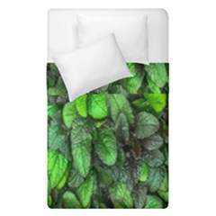 The Leaves Plants Hwalyeob Nature Duvet Cover Double Side (single Size) by Nexatart