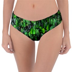 The Leaves Plants Hwalyeob Nature Reversible Classic Bikini Bottoms by Nexatart