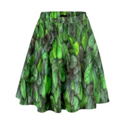 The Leaves Plants Hwalyeob Nature High Waist Skirt by Nexatart