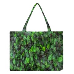 The Leaves Plants Hwalyeob Nature Medium Tote Bag by Nexatart