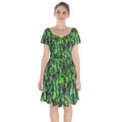 The Leaves Plants Hwalyeob Nature Short Sleeve Bardot Dress by Nexatart