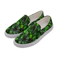 The Leaves Plants Hwalyeob Nature Women s Canvas Slip Ons by Nexatart