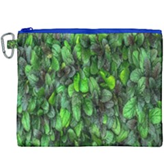 The Leaves Plants Hwalyeob Nature Canvas Cosmetic Bag (xxxl)