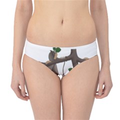 Cute Sloth Hipster Bikini Bottoms by Valentinaart