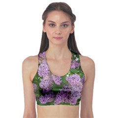 Lilacs 2 Sports Bra by dawnsiegler