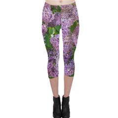 Lilacs 2 Capri Leggings  by dawnsiegler