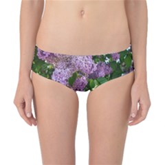 Lilacs 2 Classic Bikini Bottoms by dawnsiegler