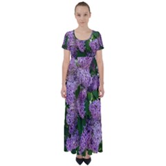 Lilacs 2 High Waist Short Sleeve Maxi Dress by dawnsiegler