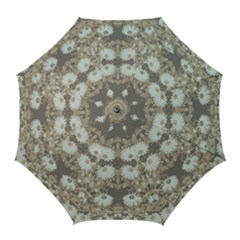 Vintage Daisy Floral Pattern Golf Umbrellas by dflcprints