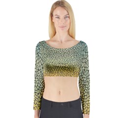 Background Cubism Mosaic Vintage Long Sleeve Crop Top by Nexatart