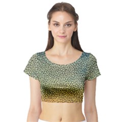 Background Cubism Mosaic Vintage Short Sleeve Crop Top by Nexatart