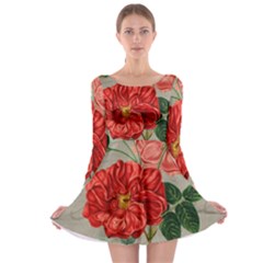 Flower Floral Background Red Rose Long Sleeve Skater Dress by Nexatart