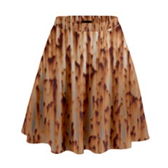 Stainless Rusty Metal Iron Old High Waist Skirt by Nexatart