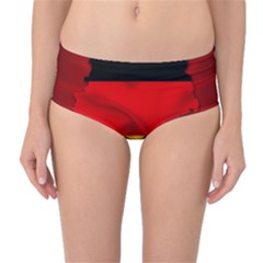 Germany Map Flag Country Red Flag Mid-waist Bikini Bottoms by Nexatart