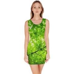 Green Wood The Leaves Twig Leaf Texture Bodycon Dress by Nexatart