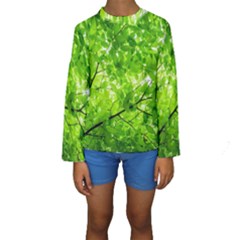 Green Wood The Leaves Twig Leaf Texture Kids  Long Sleeve Swimwear by Nexatart