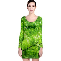 Green Wood The Leaves Twig Leaf Texture Long Sleeve Bodycon Dress by Nexatart