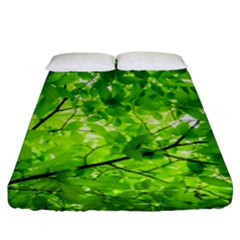 Green Wood The Leaves Twig Leaf Texture Fitted Sheet (california King Size) by Nexatart