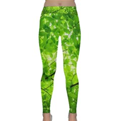 Green Wood The Leaves Twig Leaf Texture Classic Yoga Leggings by Nexatart