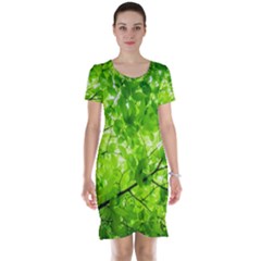 Green Wood The Leaves Twig Leaf Texture Short Sleeve Nightdress by Nexatart