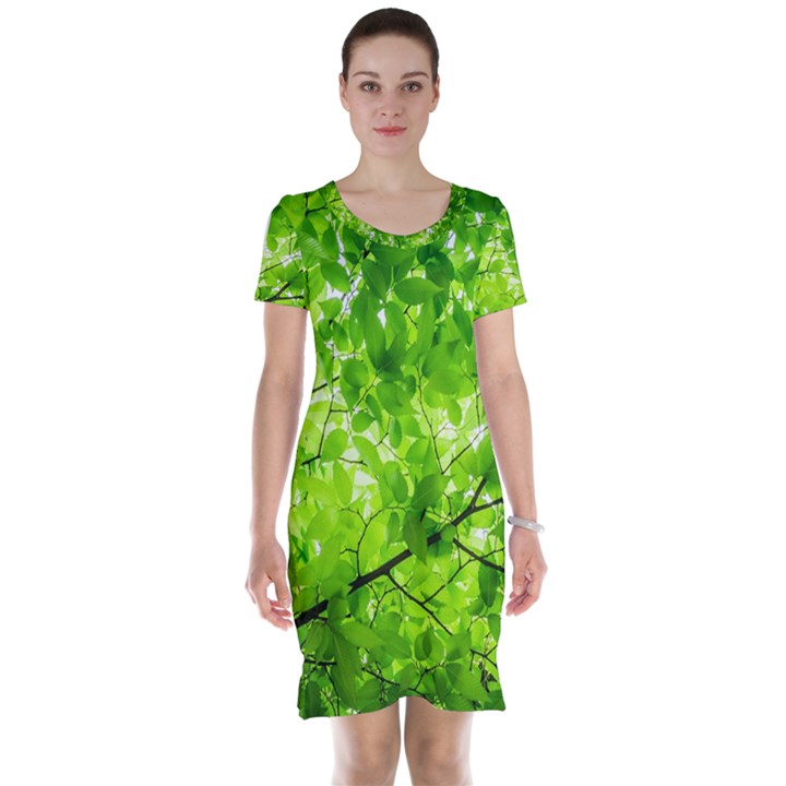 Green Wood The Leaves Twig Leaf Texture Short Sleeve Nightdress