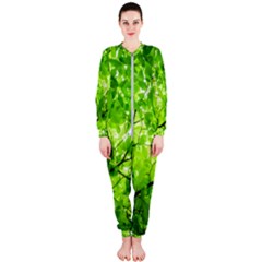 Green Wood The Leaves Twig Leaf Texture Onepiece Jumpsuit (ladies)  by Nexatart