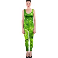 Green Wood The Leaves Twig Leaf Texture One Piece Catsuit by Nexatart