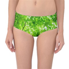 Green Wood The Leaves Twig Leaf Texture Mid-waist Bikini Bottoms by Nexatart