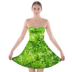 Green Wood The Leaves Twig Leaf Texture Strapless Bra Top Dress by Nexatart