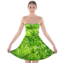 Green Wood The Leaves Twig Leaf Texture Strapless Bra Top Dress View1